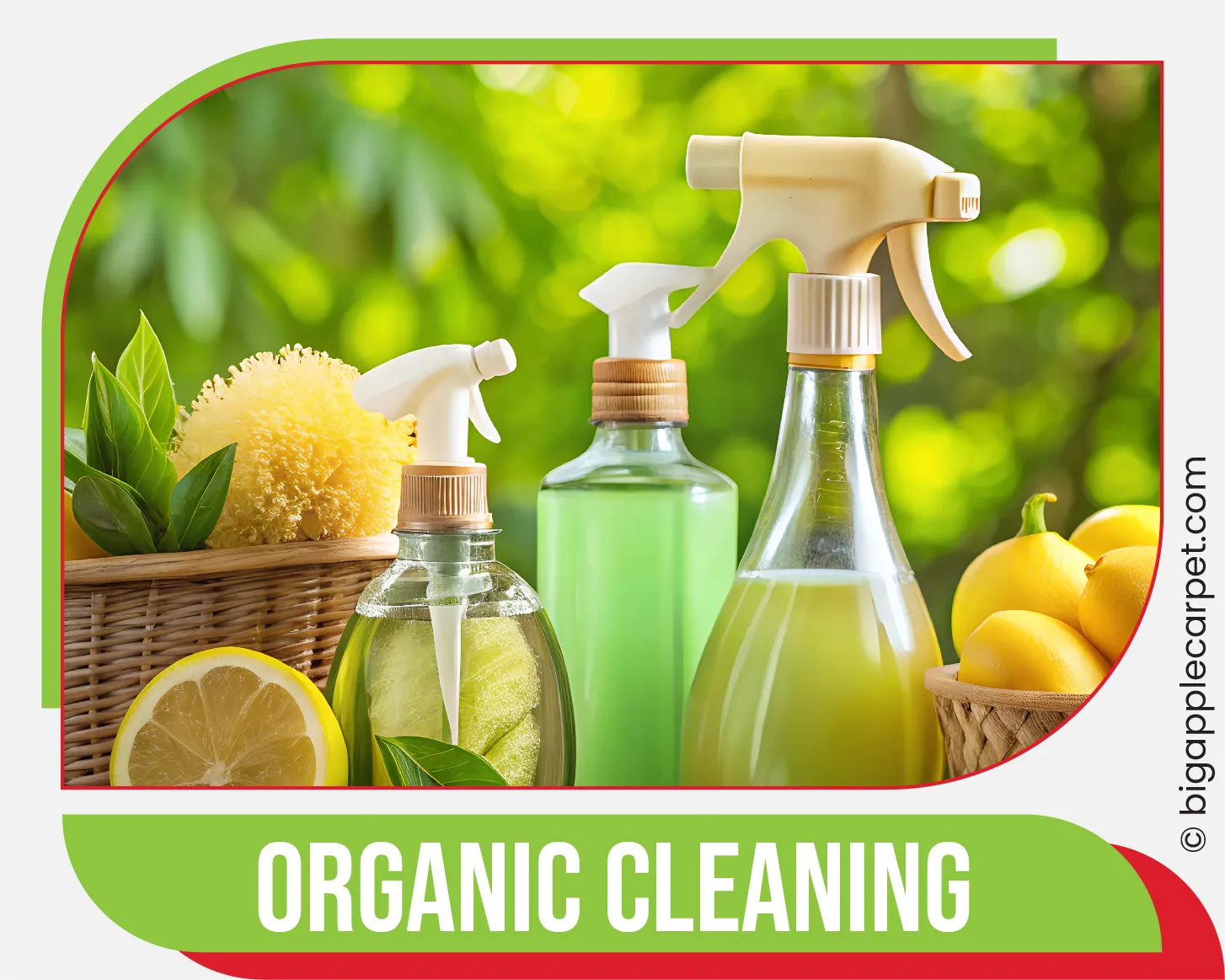 carpet cleaning in ny, carpet cleaner in ny, carpet cleaners in ny, carpet cleaners in ny, drapery cleaners in ny, carpet cleaning in ny, mattress cleaning in ny, mattress cleaners in ny, commercial carpet cleaning, commercial carpet cleaners in ny, ny rug cleaners, rug cleaning services in ny same day carpet cleaning, same day rug cleaning