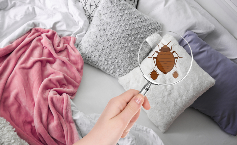 carpet cleaning in ny, carpet cleaner in ny, carpet cleaners in ny, carpet cleaners in ny, drapery cleaners in ny, carpet cleaning in ny, mattress cleaning in ny, mattress cleaners in ny, commercial carpet cleaning, commercial carpet cleaners in ny, ny rug cleaners, rug cleaning services in ny same day carpet cleaning, same day rug cleaning